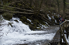 Bärenschützklamm